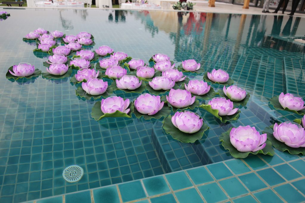 Vibrant purple lotus flowers drift on a pool's surface, serving as Diwali decorations for Indian wedding celebrations.