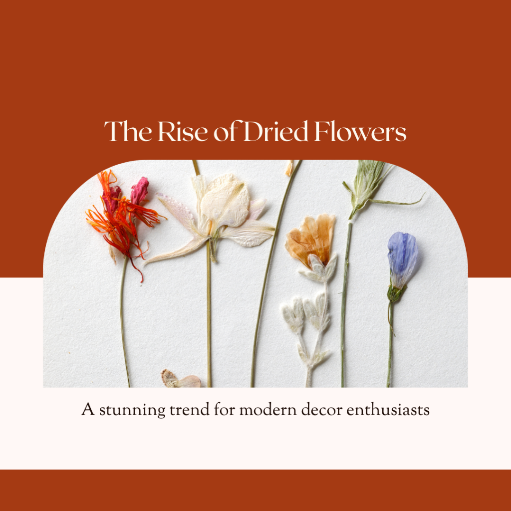 Dried flowers on a white background, under the text "The Rise of Dried Flowers." The backdrop is earthy red and white, with a modern aesthetic.